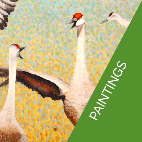 Check out our experts