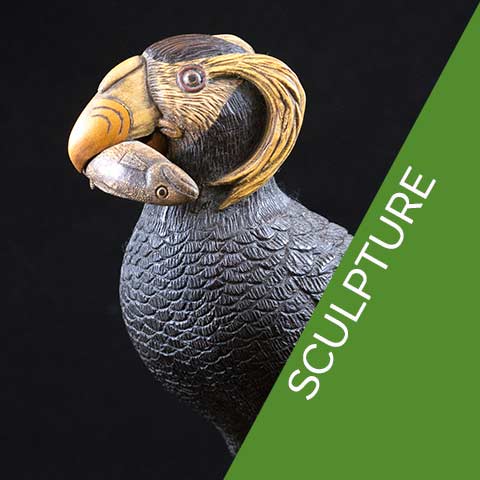 Check out our experts